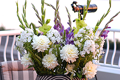 WINTER WINE MATCHING